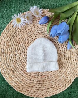 CAPPELLINO LITTER BEAR