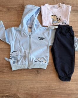 COMPLETO 3 PEZZI NEONATO DINOSAUR BABYCAR